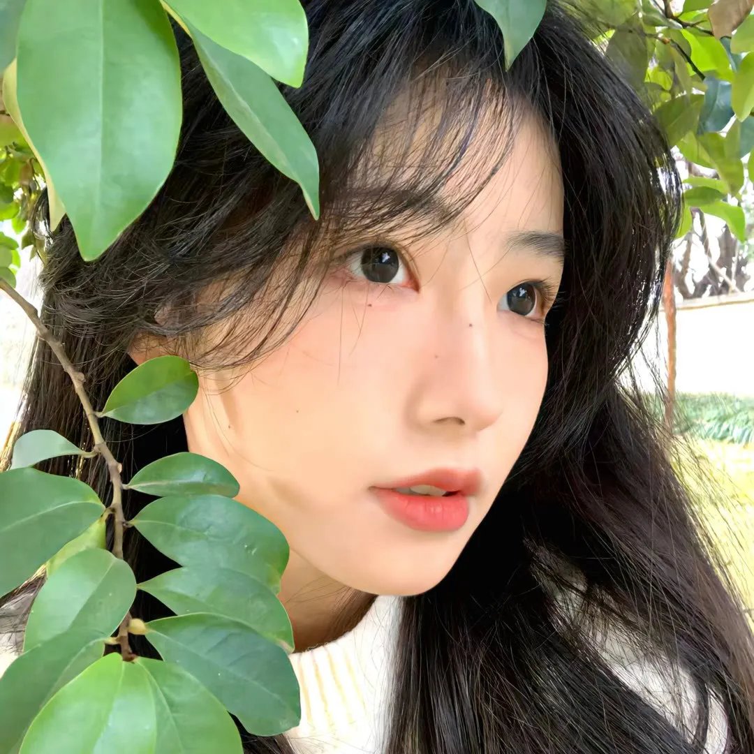 悠悠故人情